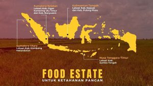 Menteri PUPR: TSTH2 Pollung Dukung “Food Estate” di Sumut